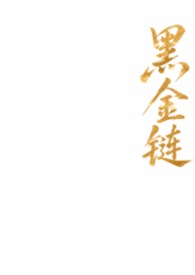 黑金项链图片